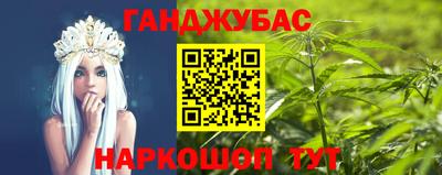 молекула духа Будённовск