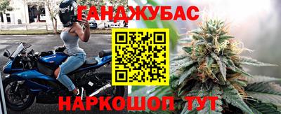 молекула духа Будённовск
