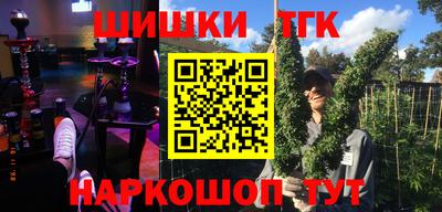 молекула духа Будённовск