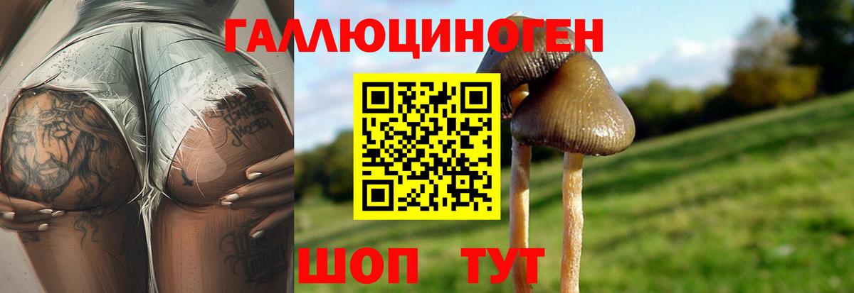Псилоцибиновые грибы прущие грибы Саратов