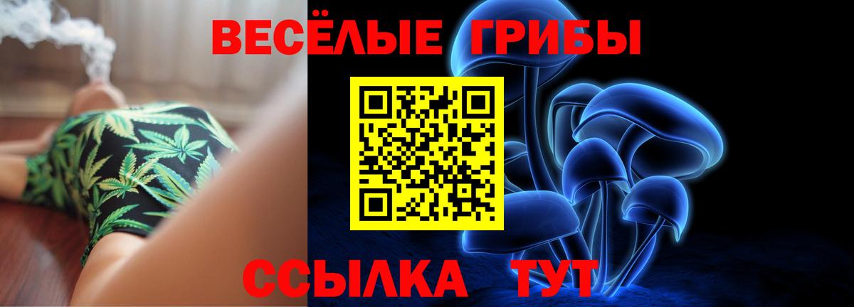 Псилоцибиновые грибы Psilocybe  Псилоцибиновые грибы GOLDEN TEACHER  закладка  Саратов  Вход с VPN 